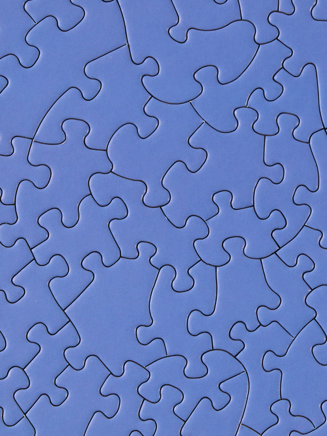 Puzzle 1000 Pezzi Peter Pauper Press - Mulino Olandese E Tulipani, Poster Incluso, 50x71 Cm